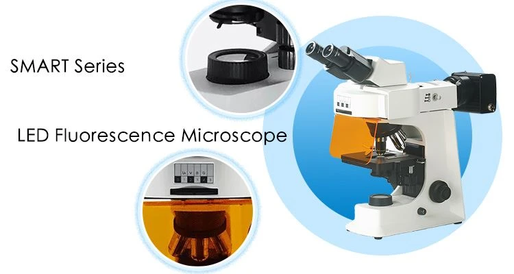 SMART-FL led fluorescence microscope