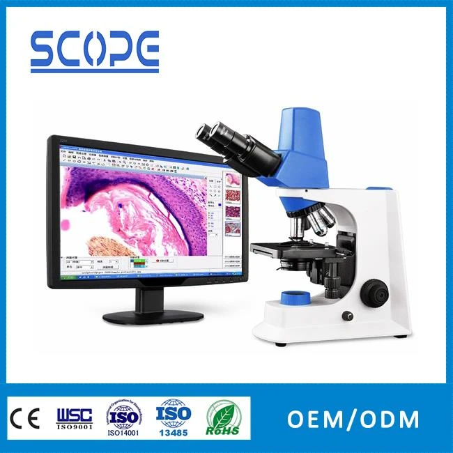 3mp integrated binocular video microscope