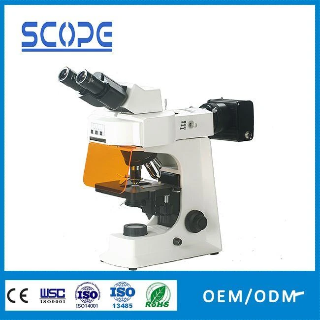 binocular led fluorescence microscope for labs
